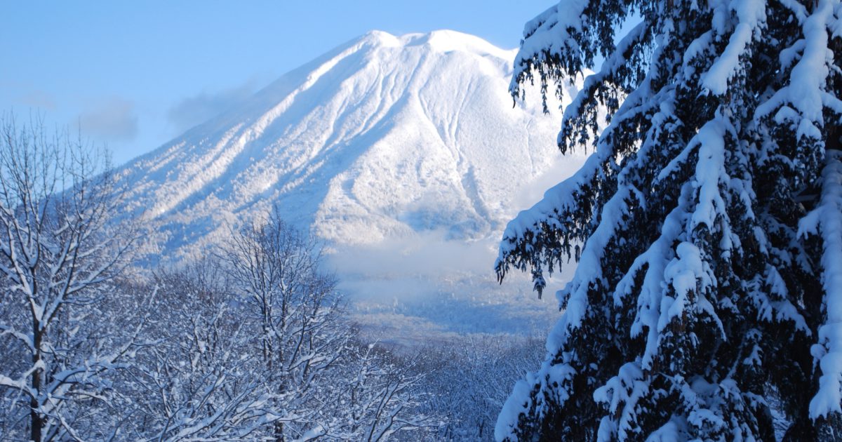 NISADE Statement Regarding… | NISADE: Hokkaido Accommodation