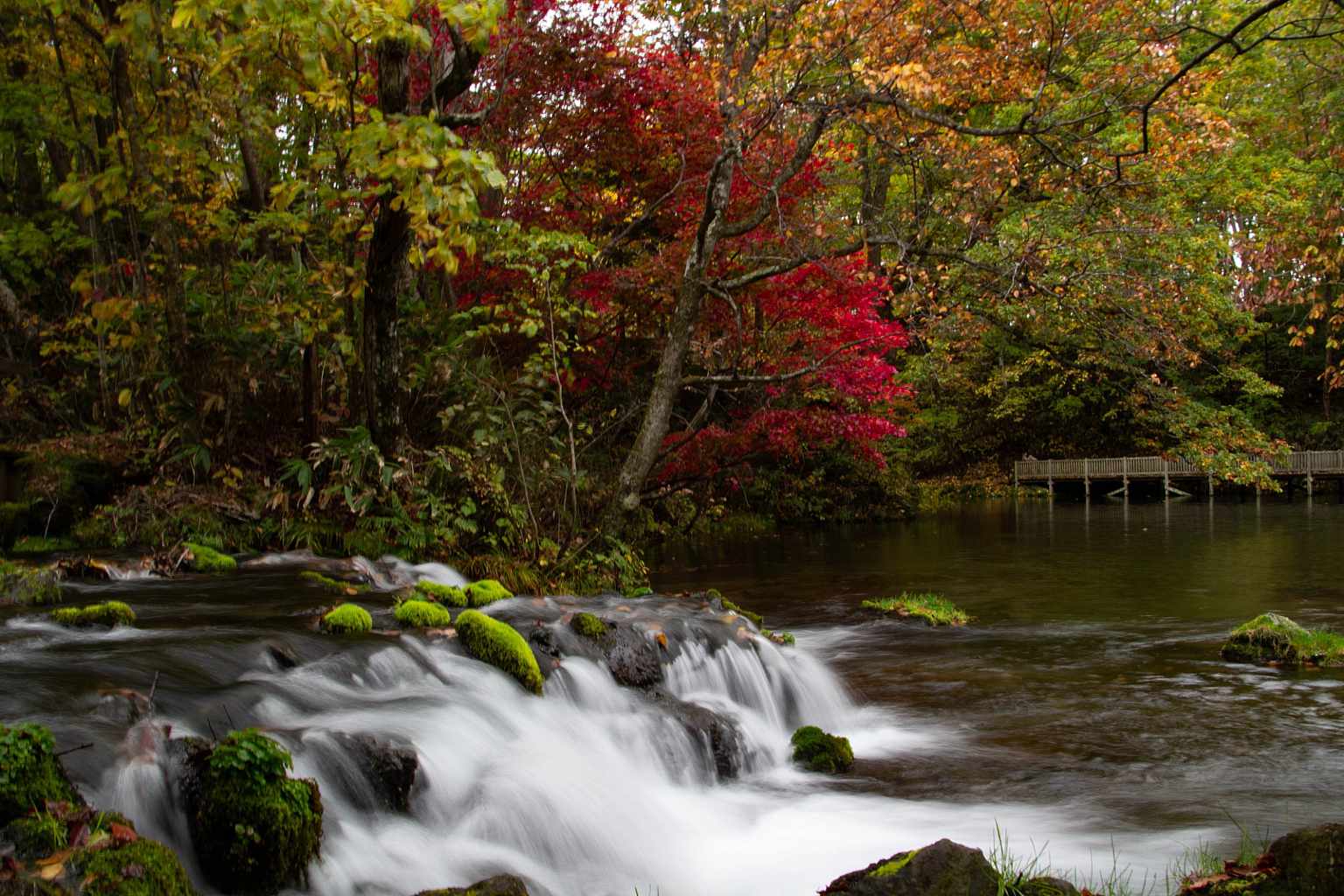 Niseko By NISADE Fukidashi Park 1