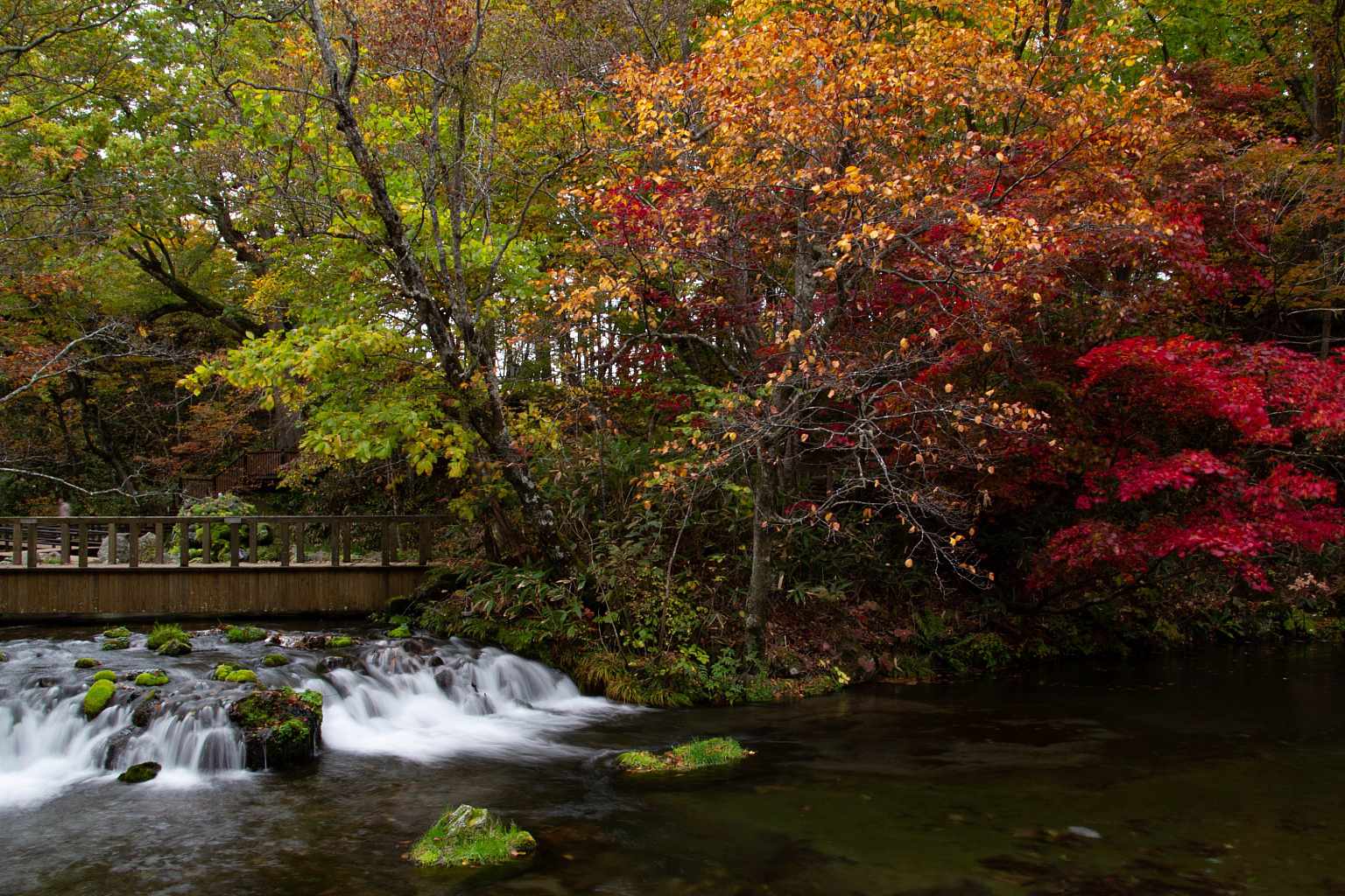 Niseko By NISADE Fukidashi Park 2