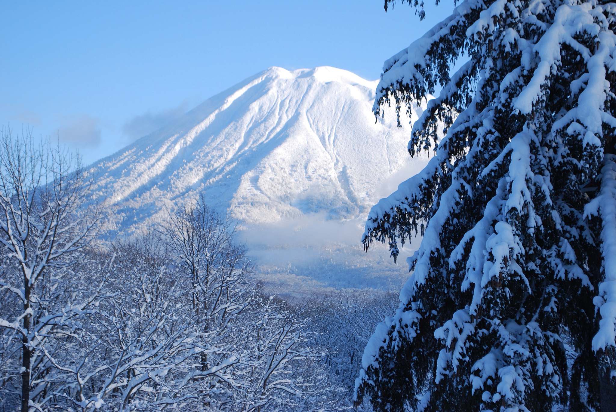 Niseko | NISADE