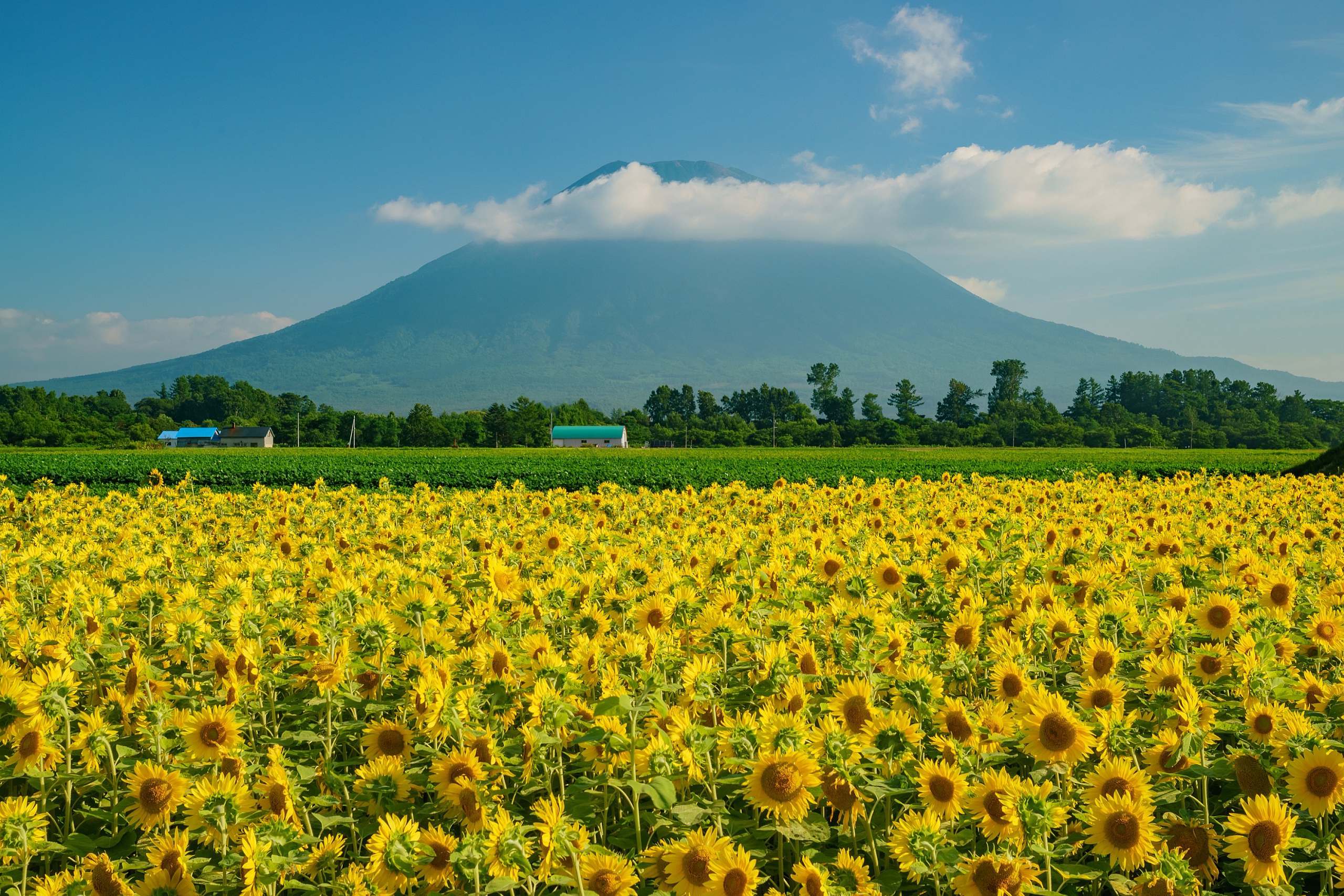 Niseko | NISADE: Hokkaido Accommodation