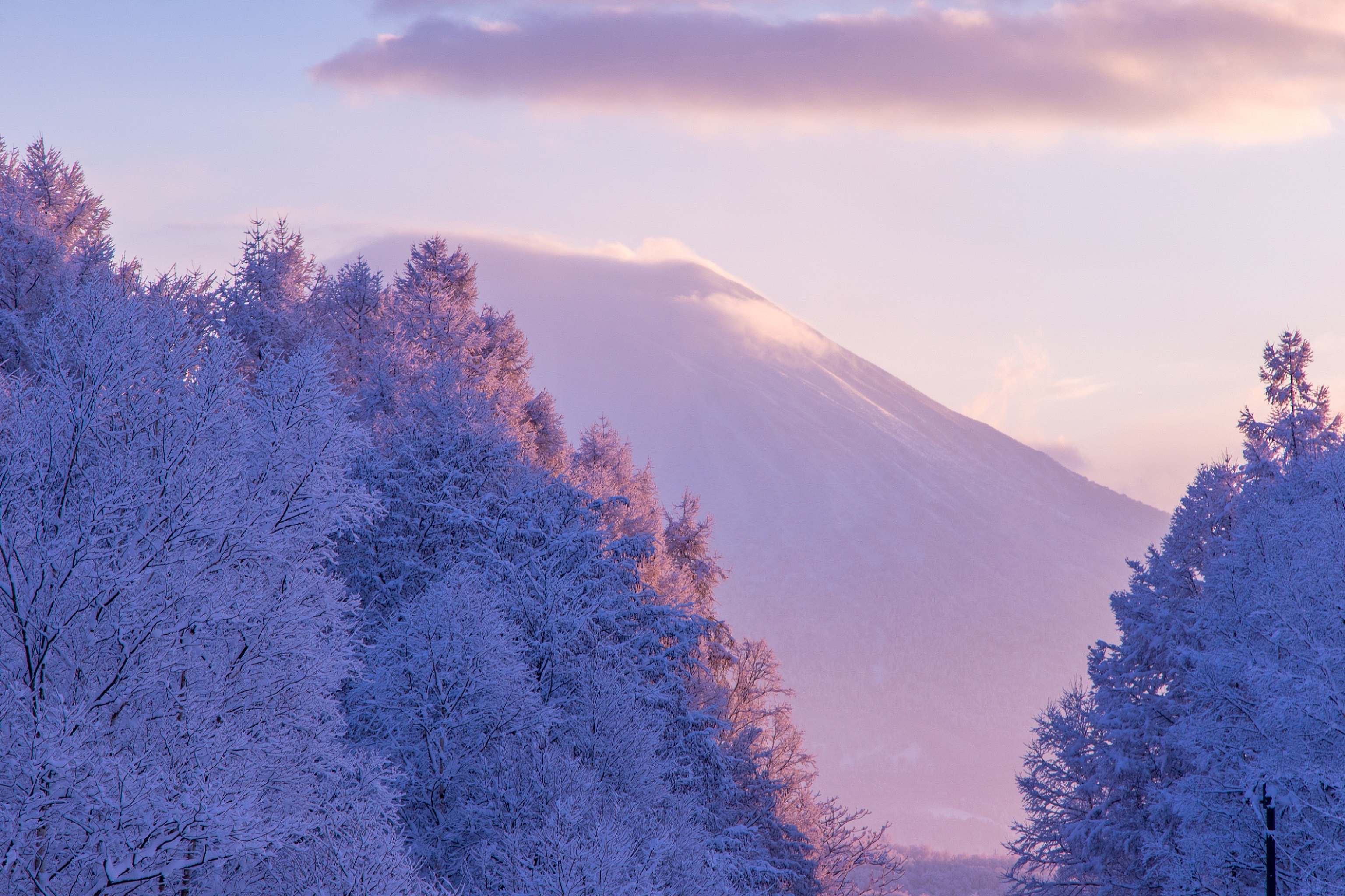 Niseko | NISADE: Hokkaido Accommodation