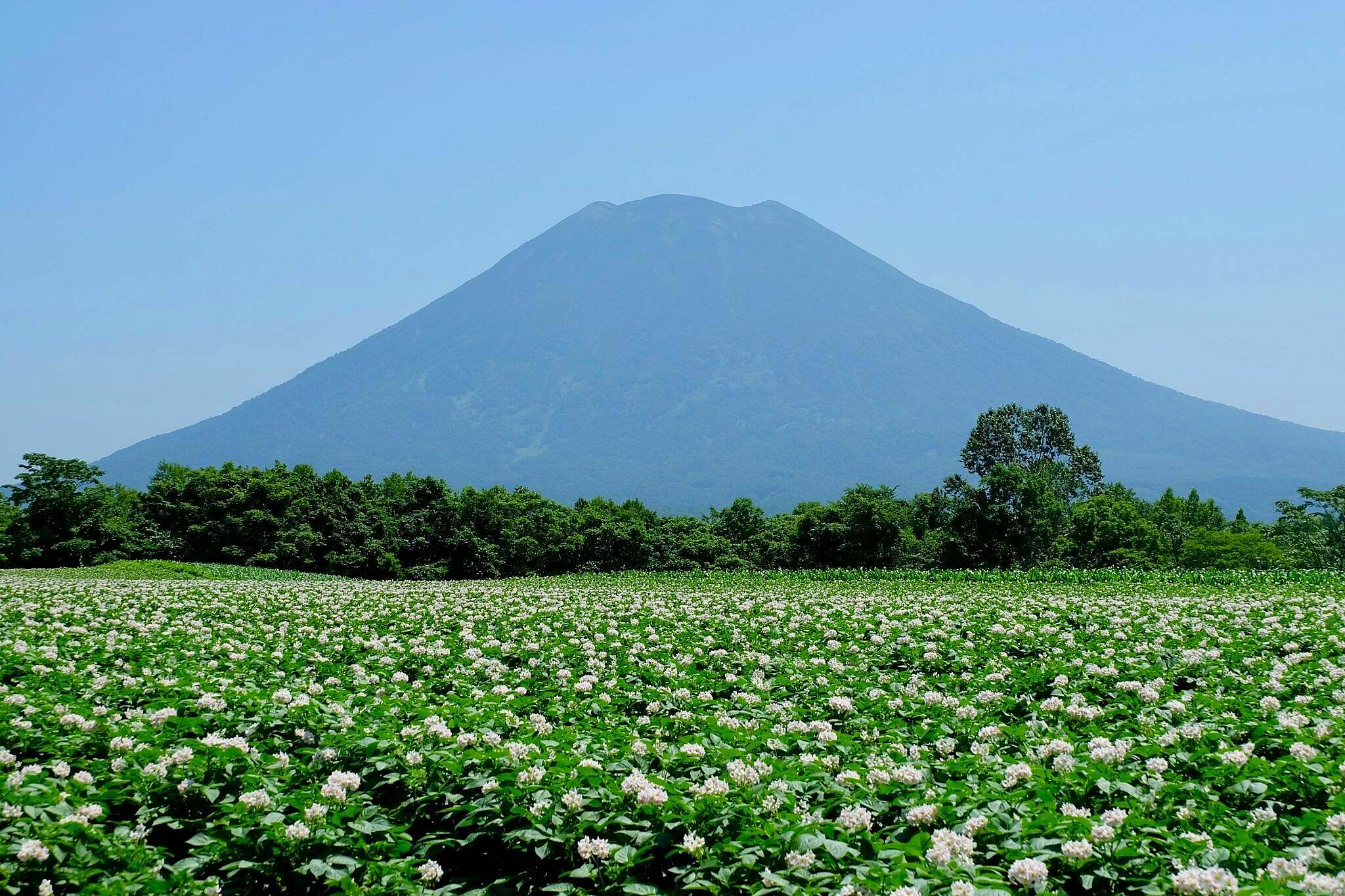 5 Mount Yotei Photo Spots You'll Wish You Had Found Sooner