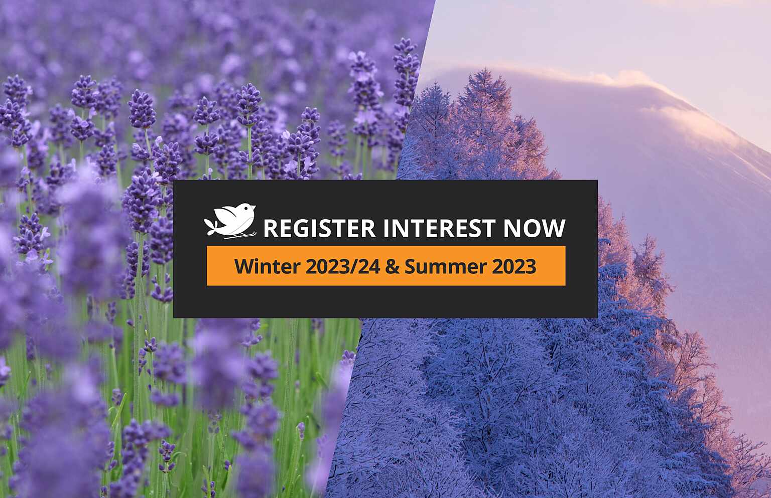 Graphic Image PROMO Winter Summer 2023 24 Register Interest V 4
